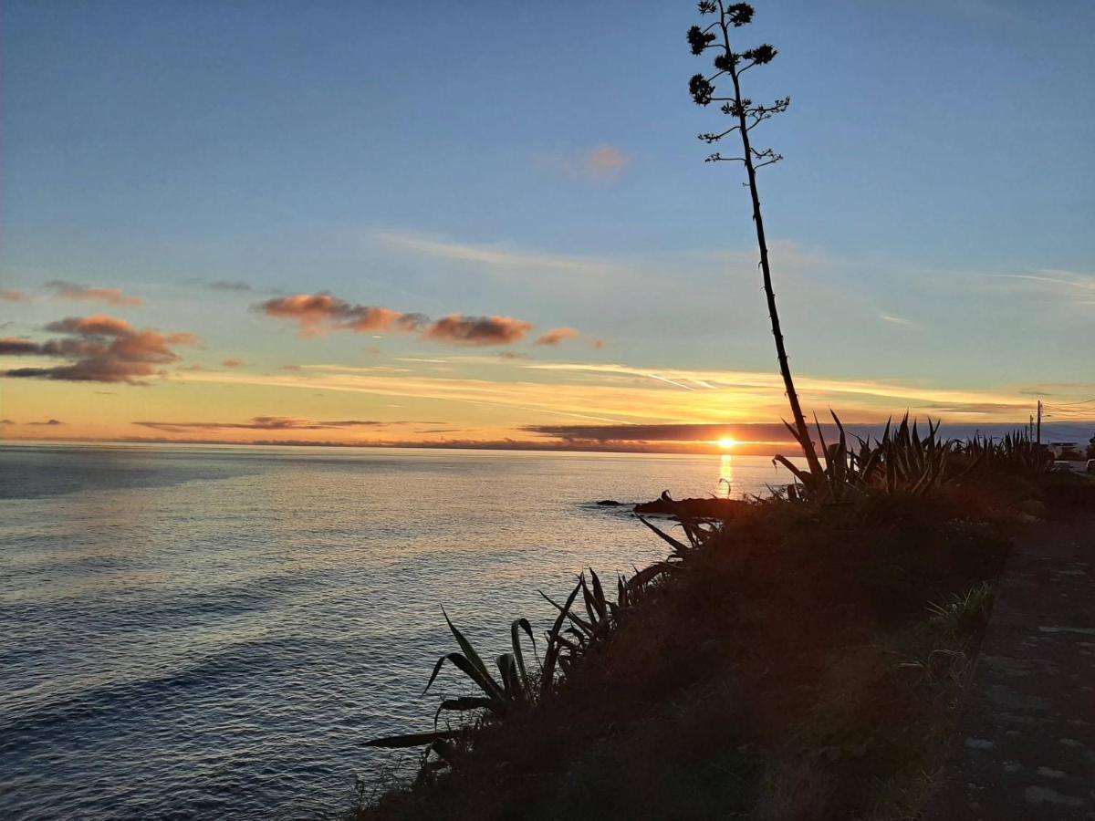 Vila Nikau - Garden By The Sea Lagoa  Εξωτερικό φωτογραφία