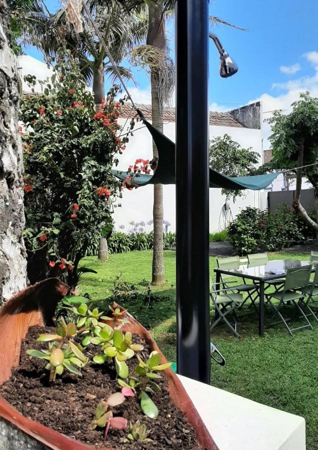 Vila Nikau - Garden By The Sea Lagoa  Εξωτερικό φωτογραφία